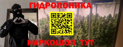 скорость Кингисепп