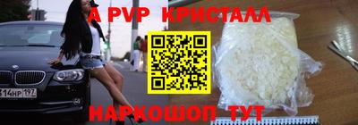 скорость Кингисепп