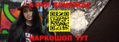 скорость Кингисепп