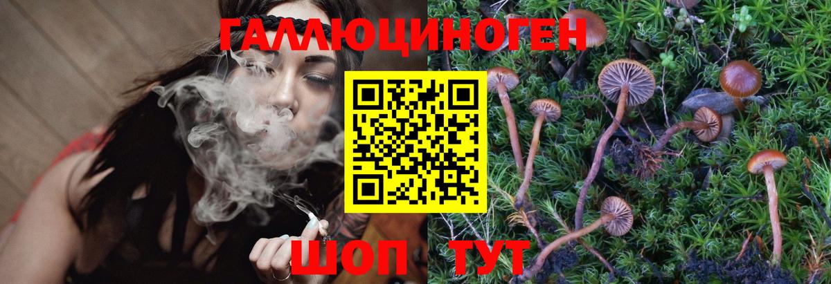 Псилоцибиновые грибы Psilocybine cubensis  Вход с VPN  Псилоцибиновые грибы мухоморы  Кумертау 